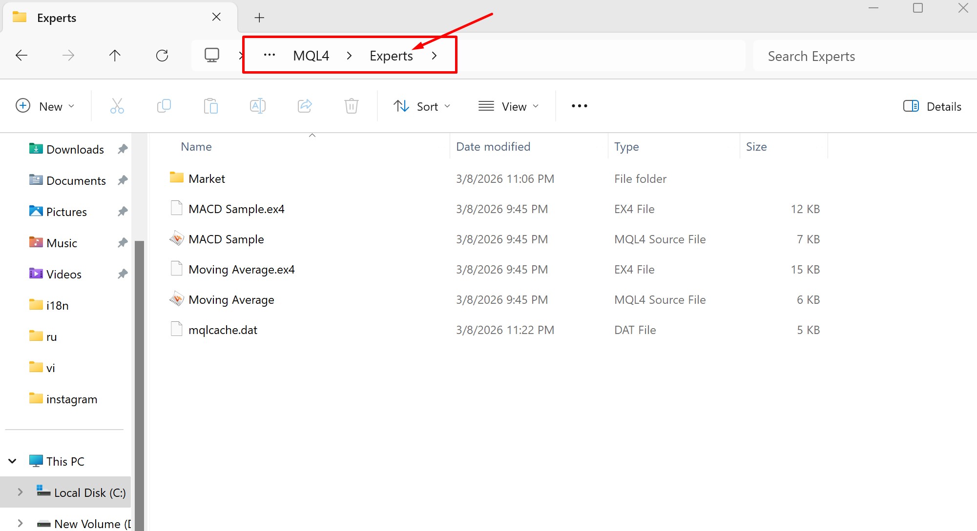 MQL4/Experts folder in Windows Explorer with .ex4 file visible after paste
